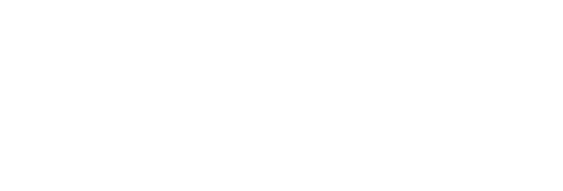 arflex-logo